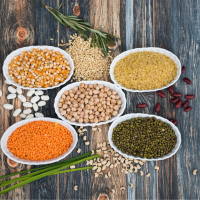 Lectins Are They Damaging Your Health?